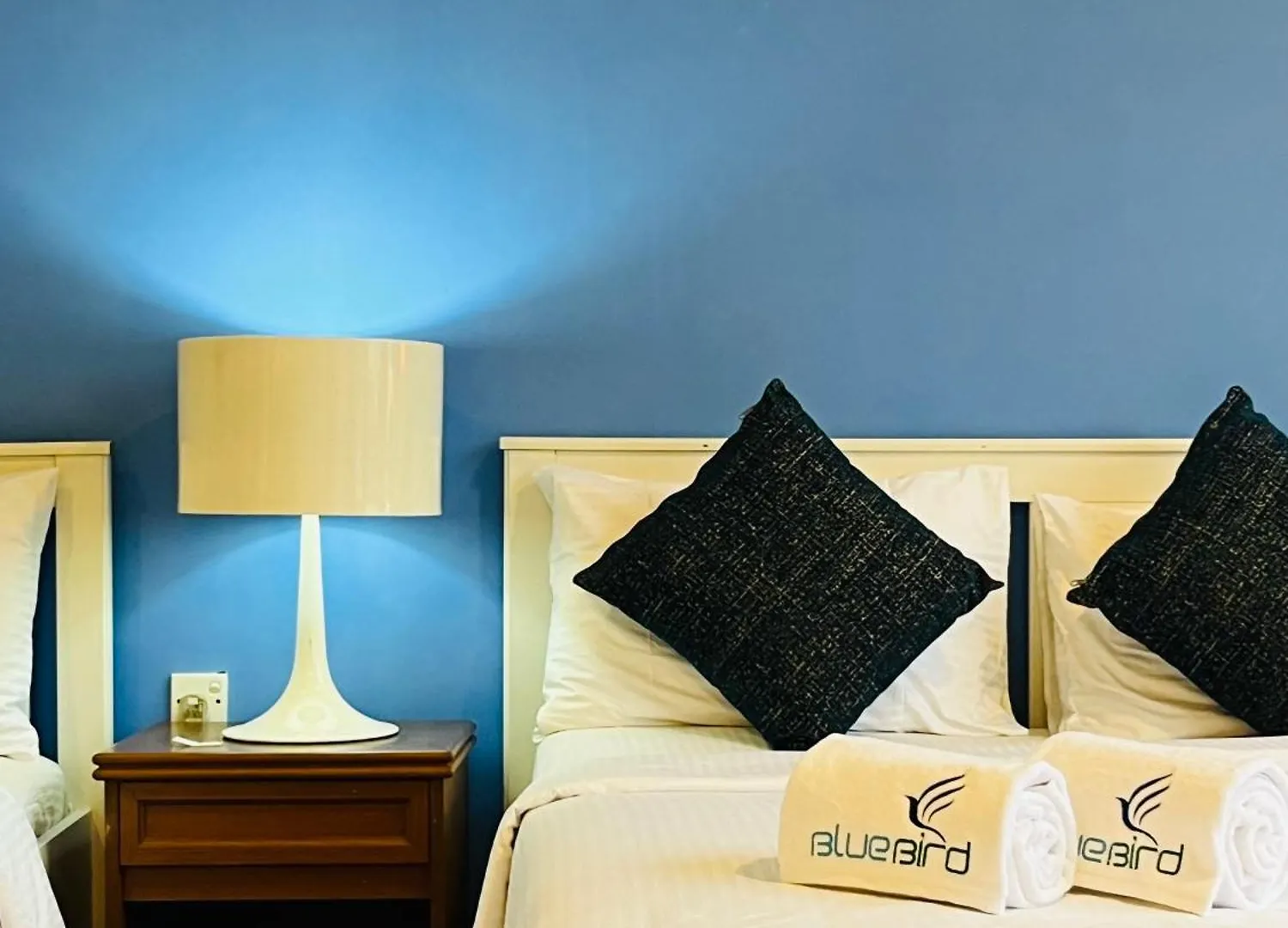 The Cave By Blue Bird Hotel Negombo 0*,
